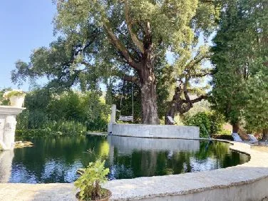 The natural pool, shaded by a large tree
